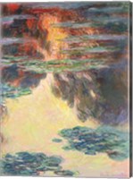 Waterlilies, 1907 Fine Art Print