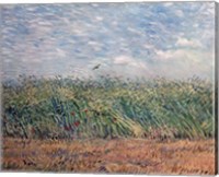 Wheatfield with Lark, 1887 Fine Art Print