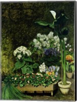 Flowers in a Greenhouse, 1864 Fine Art Print