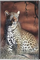 Sitting Leopard Fine Art Print