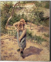 Woman Digging in an Orchard, 1882 Fine Art Print