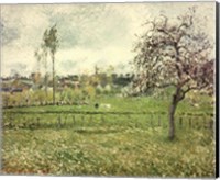Meadow at Eragny, 1885 Fine Art Print