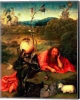 St. John the Baptist in Meditation Fine Art Print