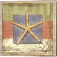 Montego Starfish- petite Fine Art Print