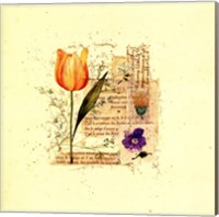 Flower Notes with Orange Tulip Fine Art Print