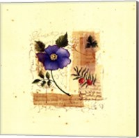 Flower Notes with Blue Poppy Fine Art Print