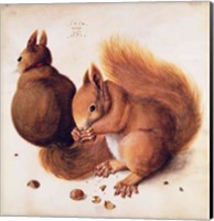 Squirrels, 1512 Fine Art Print