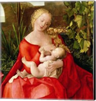 Virgin and Child 'Madonna with the Iris', 1508 - red dress Fine Art Print