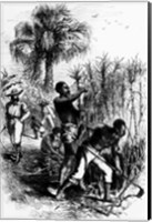 Slaves Working on a Plantation Fine Art Print