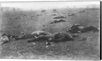 The Harvest of Death, Gettysburg, 1863 Fine Art Print