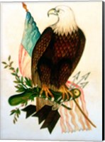 Bald eagle with flag Fine Art Print