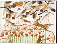 Fishing and fowling in the marshes, detail of the birds, from the Tomb Chapel of Menna Fine Art Print