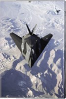 US Air Force F-117 Stealth Fighter Fine Art Print