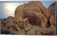 Boulders at sunrise, Joshua Tree National Monument, California, USA Fine Art Print