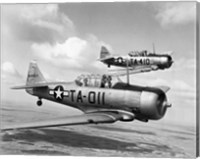 Side profile of two fighter planes in flight, AT-6 Texan Fine Art Print