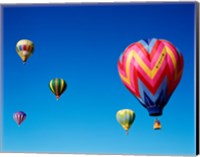 Group of Hot Air Balloons Fine Art Print