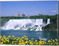 Flowers in front of a waterfall, American Falls, Niagara Falls, New York, USA Fine Art Print