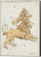 Leo Major and Leo Minor Constellation Fine Art Print