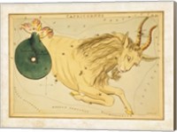Capricornus Zodiac Sign Fine Art Print