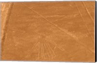Nazca Lines Design Fine Art Print