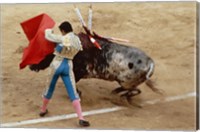 Matador fighting a bull, Plaza de Toros, Ronda, Spain Fine Art Print