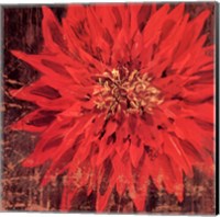 Floral Frenzy Red III - square Fine Art Print