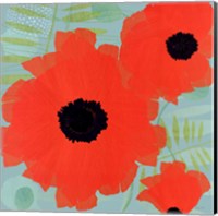 Collection of Poppies on Blue Fine Art Print
