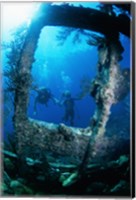 Scuba diver investigating shipwrecks Fine Art Print