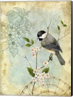 Songbird Sketchbook II Fine Art Print