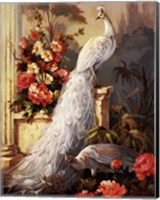 Peacocks, Column Fine Art Print