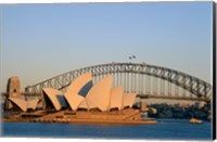 Sydney Opera House in front of the Sydney Harbor Bridge, Sydney, Australia Fine Art Print