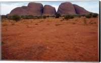 Rock formations on a landscape, Olgas, Uluru-Kata Tjuta National Park, Northern Territory, Australia Closeup Fine Art Print