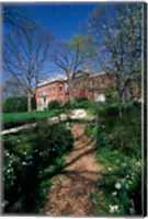 Trees in a garden, Dumbarton Oaks House, Georgetown, Washington DC, USA Fine Art Print