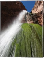 Lower Ribbon Falls off the North Kaibab Trail in the Grand Canyon Fine Art Print