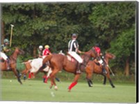 Polo Umpire Fine Art Print