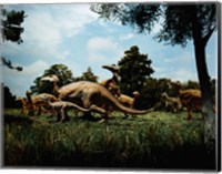 Herd of Anatosaurus Fine Art Print