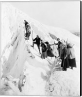 Group of men and women climbing Paradise Glacier in Mt. Rainier National Park, Washington Fine Art Print