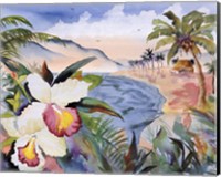 Hawaiian Orchids Fine Art Print