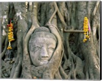 Buddha head in tree roots, Wat Mahathat, Ayutthaya, Thailand Fine Art Print
