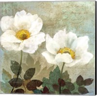 Anemone II Fine Art Print