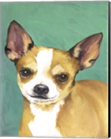 Dog Portrait-Chihuahua Fine Art Print