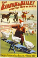 The Barnum & Bailey Performing Geese, Roosters and Musical Donkey Fine Art Print