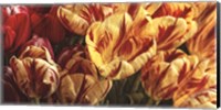 Floral Tapestry Fine Art Print