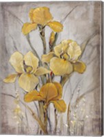 Golden Irises I Fine Art Print