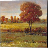 Field in Fall Fine Art Print