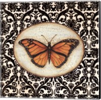 Fanciful Butterfly I Fine Art Print