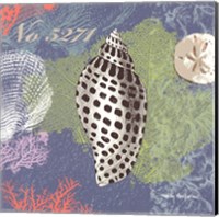 Shells on Blue Fine Art Print