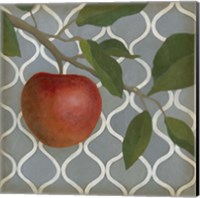 Fruit and Pattern III Fine Art Print