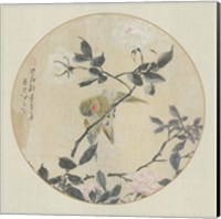 Oriental Bird Silk I Fine Art Print