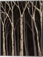 Midnight Birches I Fine Art Print
